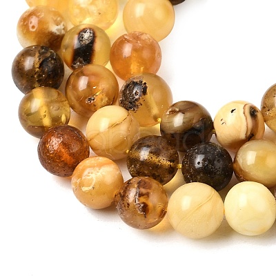 Natural Amber Beads Strands G-K376-H01-01-1