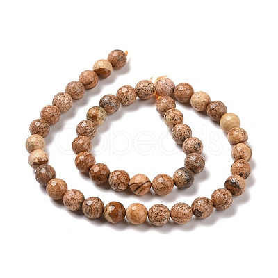 Natural Picture Jasper Beads Strands G-E571-28B-1