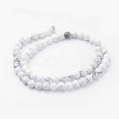 Natural Howlite Bead Strands G-G735-66-6mm-1