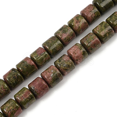 Natural Unakite Beads Strands G-G275-D20-10x10mm-1