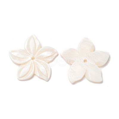 Natural Freshwater Shell Beads SHEL-F007-18-1