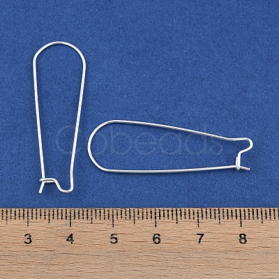 304 Stainless Steel Hoop Earring Findings STAS-P223-01S-05-1