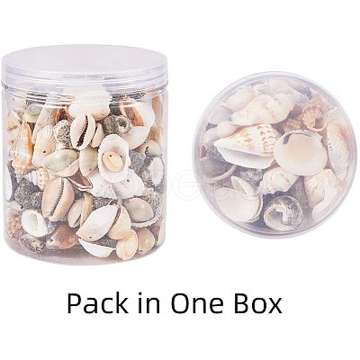 Mixed Natural Shell Bead Sets BSHE-PH0003-03-1