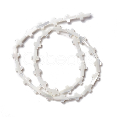 Natural Trochid Shell/Trochus Shell Beads SSHEL-O0001-22A-1