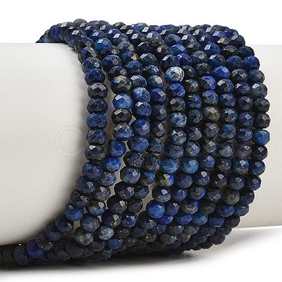 Natural Lapis Lazuli Beads Strands G-L587-B03-02-1