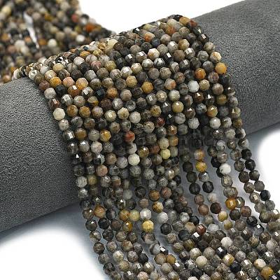 Natural Larvikite Beads Strands G-A260-A23-01-1