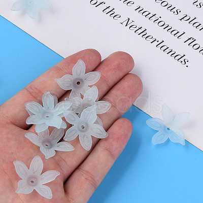 Transparent Acrylic Beads MACR-S373-127-D02-1