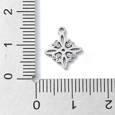 Non-Tarnish 304 Stainless Steel Charms X-STAS-C097-24P-1