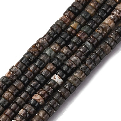 Natural Biotite Beads Strands G-L624-I12-2x4mm-1