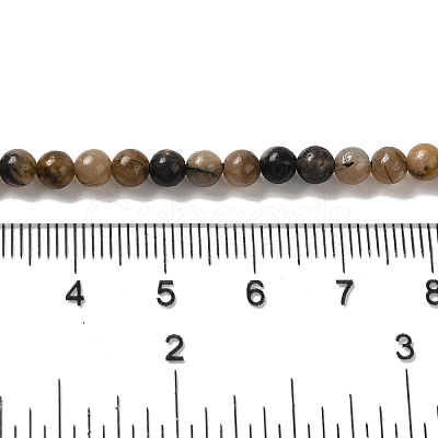 Natural Chiastolite Beads Strands G-Q161-A03-01-1