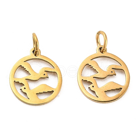 304 Stainless Steel Charms STAS-D050-07G-09-1