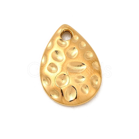 304 Stainless Steel Charms STAS-Z157-15G-1
