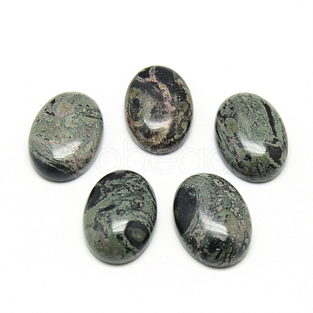 Natural Kambaba Jasper Cabochons X-G-R450-01-1