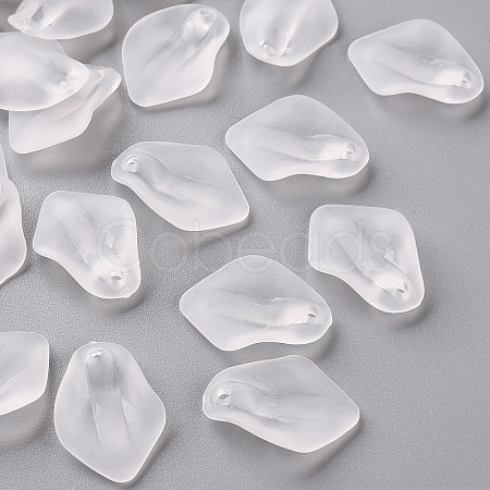 Transparent Frosted Acrylic Pendants MACR-S371-03A-701-1
