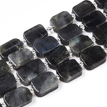 Natural Larvikite Beads Strands G-T138-04-1