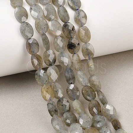 Natural Labradorite Beads Strands G-H349-A01-03-1