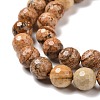 Natural Picture Jasper Beads Strands G-E571-28B-3