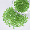 6/0 Two Cut Glass Seed Beads SEED-S033-11B-07-1