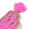 6/0 Baking Paint Glass Seed Beads X-SEED-S003-K2-4