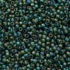 TOHO 11/0 Round Beads SEED-TR11-0179F-2