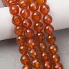 Natural Carnelian Beads Strands G-C280-B10-8mm-2