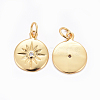 Brass Charms ZIRC-L070-63G-2