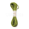Polyester Embroidery Floss OCOR-C005-B20-1