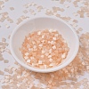 MIYUKI TILA Beads SEED-JP0008-TL2552-4
