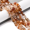 Natural Red Agate Beads Strands G-G146-A25-01-1