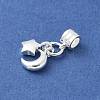 925 Sterling Silver European Dangle Charms STER-H115-01S-2