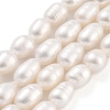 Natural Cultured Freshwater Pearl Beads Strands PEAR-P062-10C-2