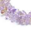 Natural Ametrine Beads Strands G-P332-49A-2