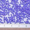 MIYUKI Round Rocailles Beads X-SEED-G007-RR0483-4
