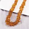 Natural Amber Chip Beaded Necklaces NJEW-L466-03A-2