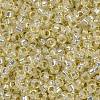 MIYUKI Round Rocailles Beads X-SEED-G009-RR0577-3