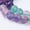 Natural Fluorite Beads Strands G-P318-05-8mm-5