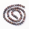 Natural Red Leopard Skin Jasper Beads Strands X-GSR6mmC066-3