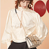 Acrylic & Iron Chain Bag Straps FIND-WH0111-378G-7
