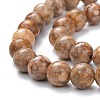 Natural Maifanite/Maifan Stone Beads Strands G-P451-01A-C-3