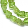 Natural Peridot Beads Strands X-G-D0004-A02-03-6