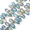 Electroplate Glass Beads Strands EGLA-B006-01A-FR06-1