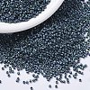 MIYUKI Delica Beads X-SEED-J020-DB1052-1