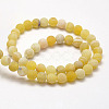 Frosted Natural Weathered Agate Beads Strands G-F367-8mm-11-3