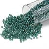 TOHO 11/0 Round Beads X-SEED-TR11-1833-1