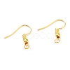 Iron Earring Hooks X-E135-NFG-1