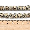 Natural Dalmatian Jasper Beads Strands G-C267-A14-5