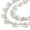 1 Yards Iron Rhinestone Strass Chains FIND-PJ0001-43-1