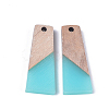 Resin & Wood Pendants X-RESI-S358-59B-2