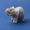Natural Amethyst Home Decorations DJEW-YW0001-04B-1