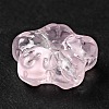 Transparent Glass Beads GLAA-F116-02E-5
